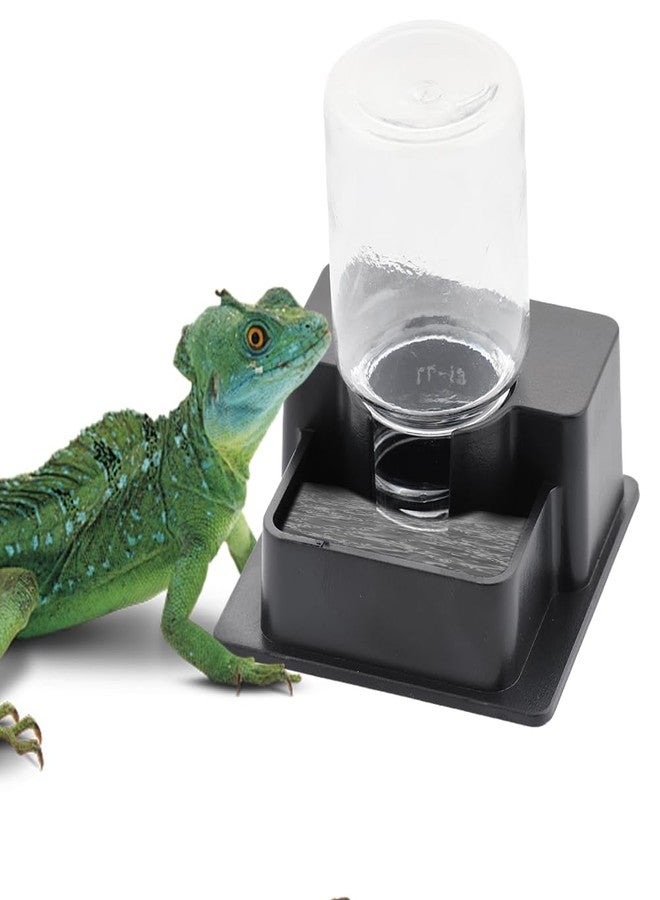 DQITJ 1 Pack Small Reptile Water Bowl Automatic Water Dispenser for Reptile Gecko Lizard Terrarium Bowl Feeder (Black) - Image 1